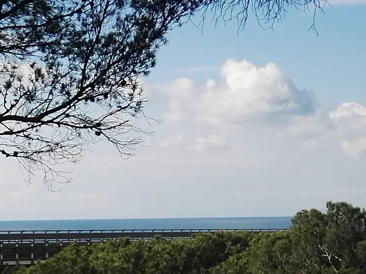 Monolocale In Residence A Castiglioncello 0*,